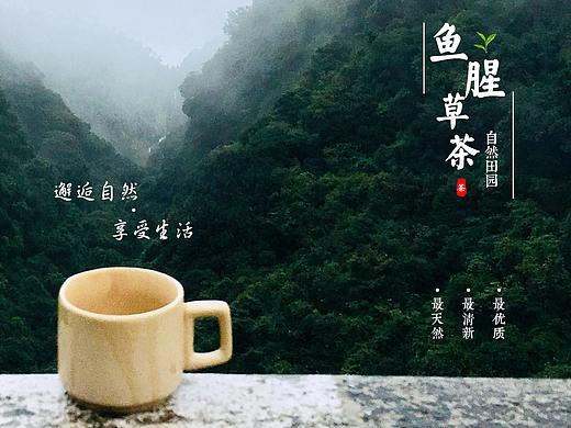 茶详情页