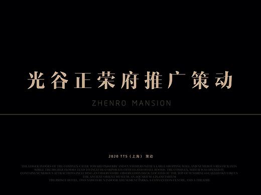地产类-武汉正荣光谷项目视觉思路-1