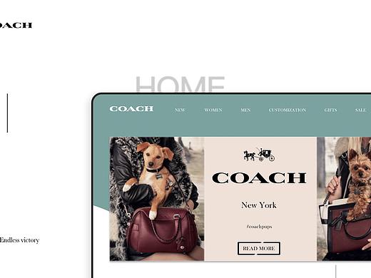 网页设计（COACH）-官网网页设计
