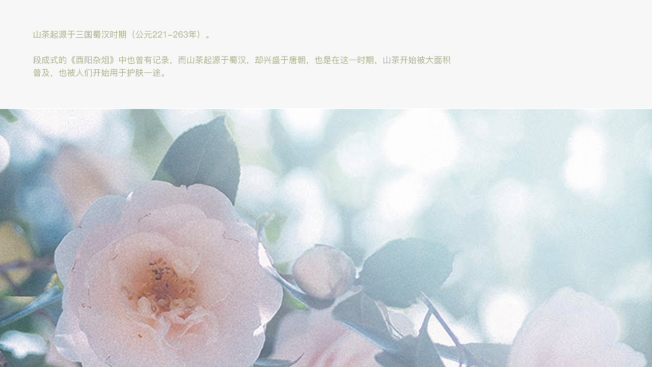 六角瓶-试用装包（图ZMjcwNjcwNzgw） - 包装 - 站酷设计师Twilight须臾原创素材 - 站酷ZCOOL