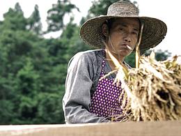 贵州采风摄影作品part1  梯田小记