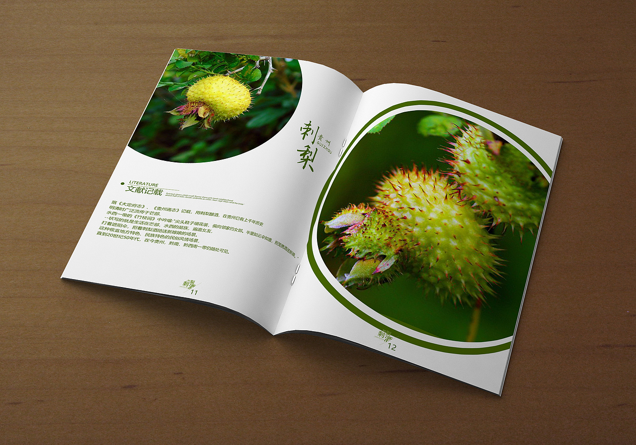 刺梨酒（图ZMTcyMTExNzI4） - 书籍/画册 - 站酷设计师格格巫哇原创素材 - 站酷ZCOOL