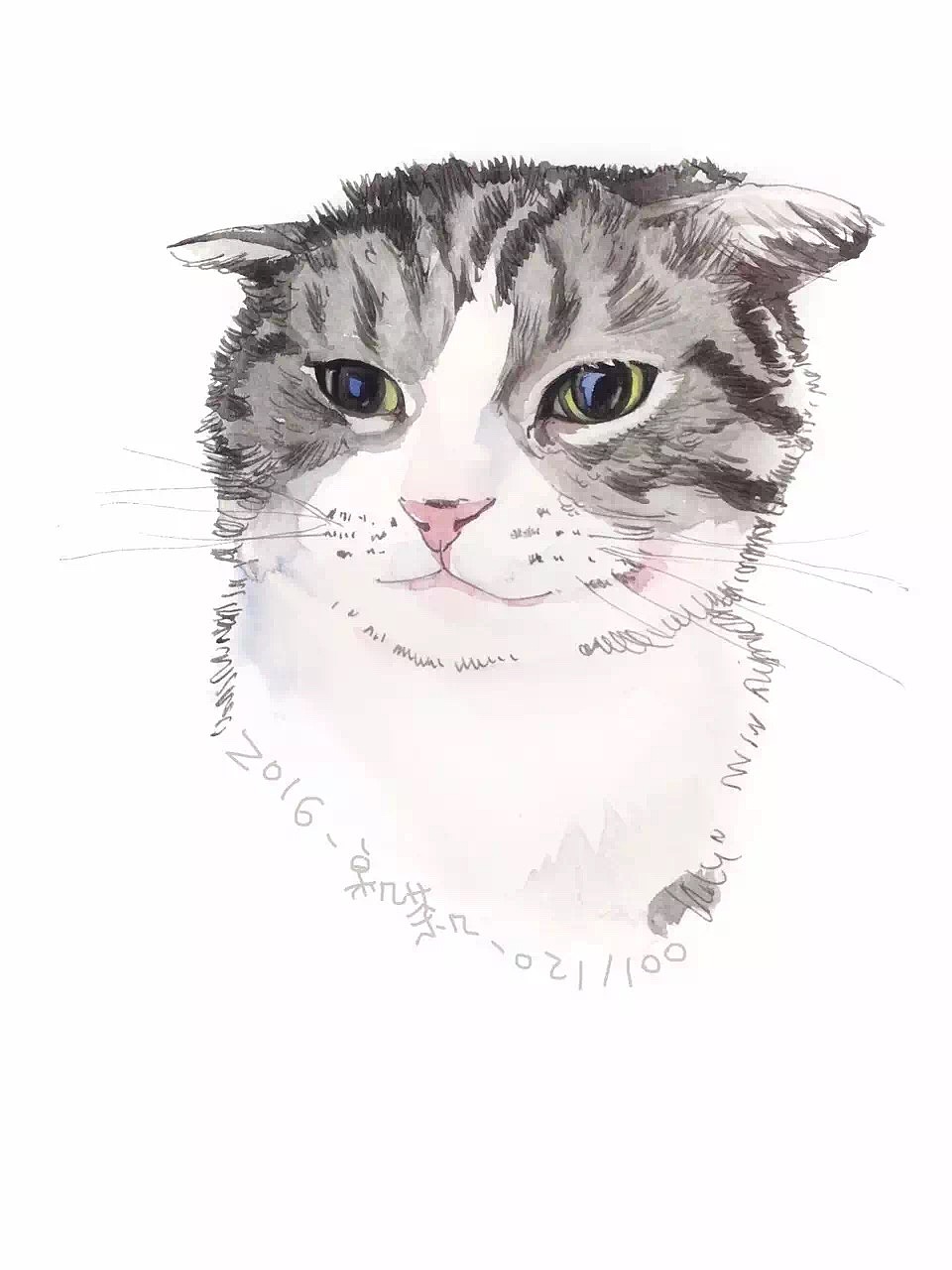 #存图# 没完成的100只猫（图ZMTc0MDM1OTYw） - 创作习作 - 站酷设计师汪野心原创素材 - 站酷ZCOOL