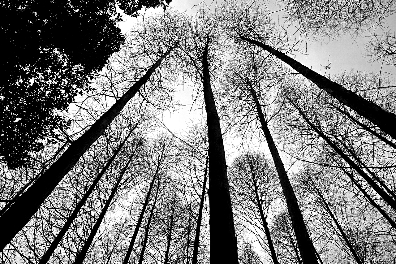 #.江浙沪之旅（图ZNjgzMTc5MzI=） - 风光摄影 - 站酷设计师林小蛙原创素材 - 站酷ZCOOL