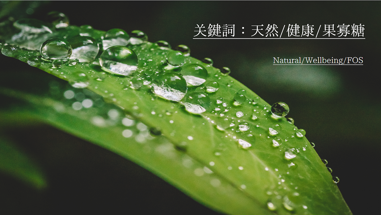 新西兰Yaconz · 品牌和包装设计（图ZMTYxNTY3NTYw） - 品牌 - 站酷设计师活着就是修行原创素材 - 站酷ZCOOL