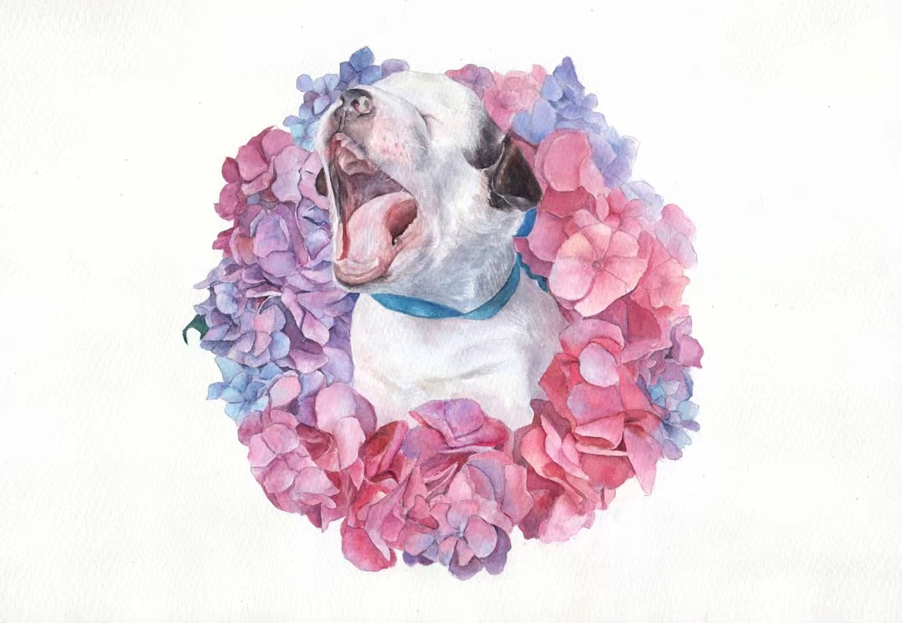 水彩画,画了一堆萌宠|纯艺术|水彩|彩铅蜗牛 - 原创作品 - 站酷