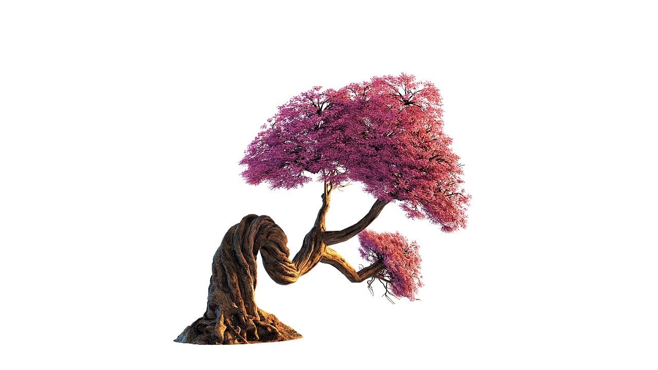 桃樹（圖ZMjY3NTczMTQw） - 場景 - 站酷設(shè)計師Z73108394原創(chuàng)素材 - 站酷ZCOOL