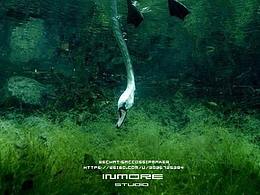 INMORE STUDIO丨万宣《鹅儿》