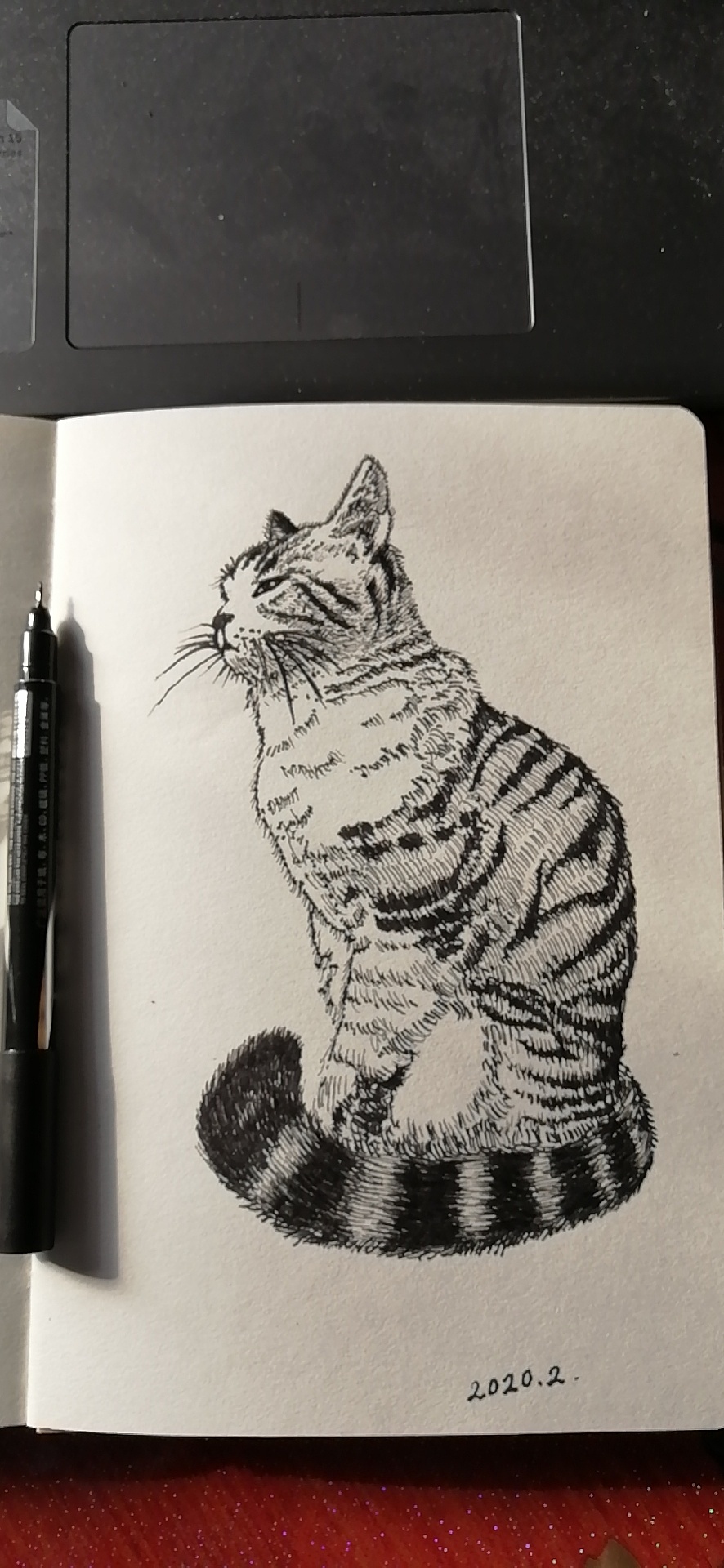 钢笔动物|纯艺术|钢笔画|铅绘 - 临摹作品 - 站酷 (zcool)