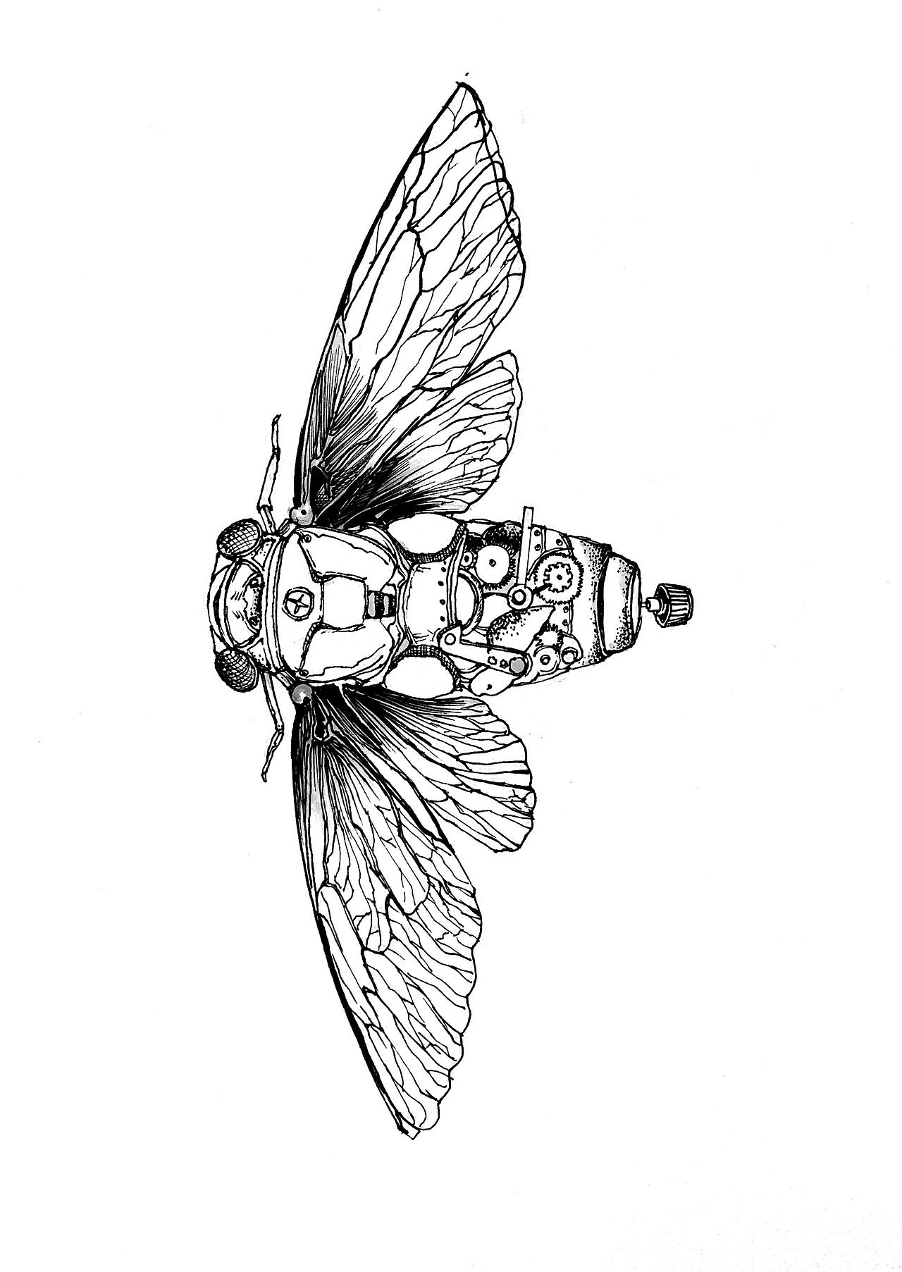 黑白装饰画长沙/设计爱好者/1年前/282浏览万物法则工作室