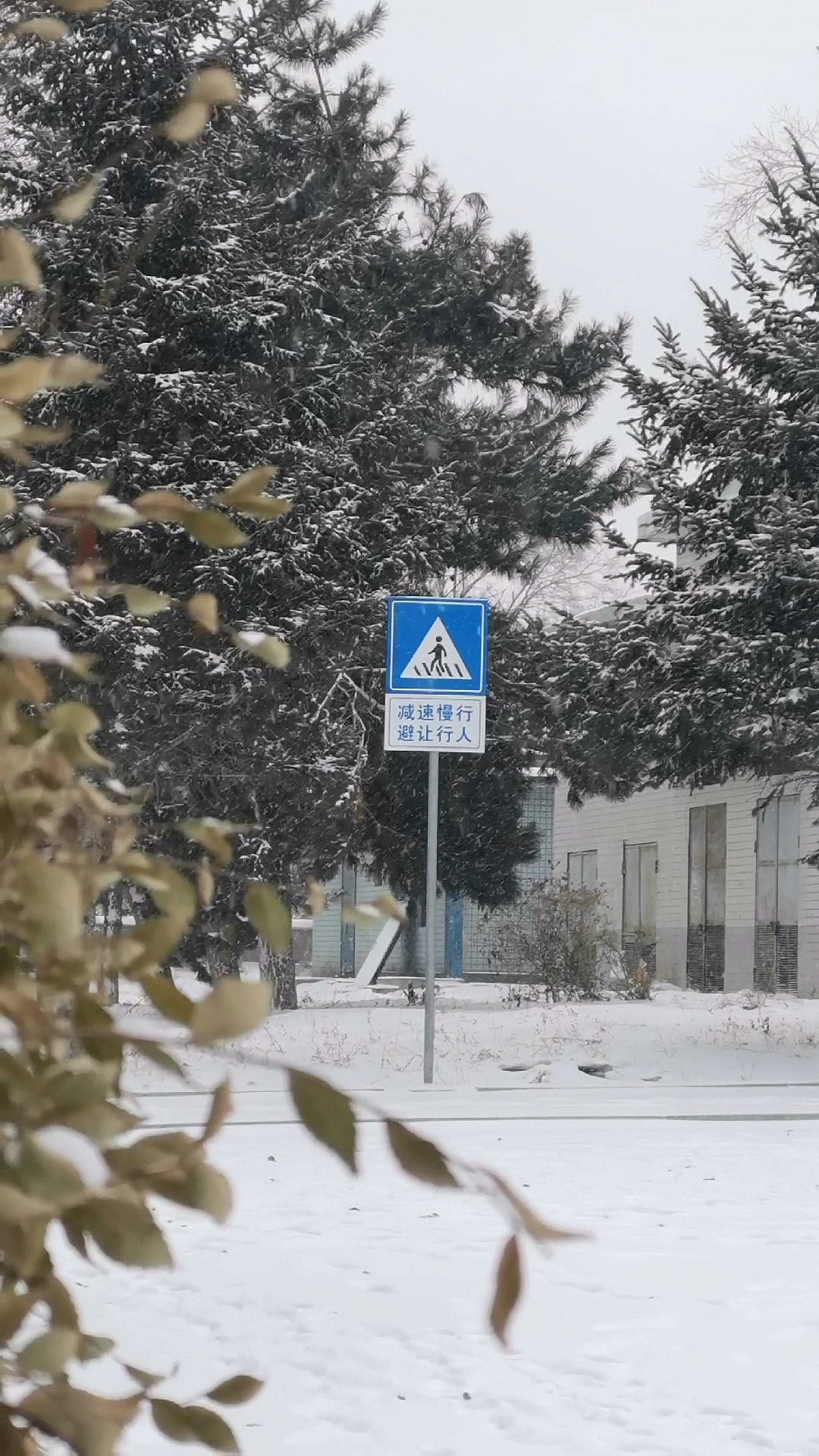 扫街（图ZMjc5NDYzMjA4） - 其他摄影 - 站酷设计师见习忍者原创素材 - 站酷ZCOOL