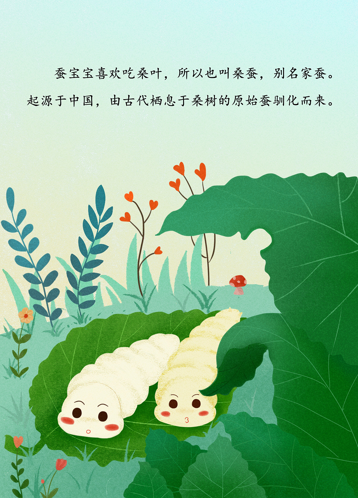 蚕宝宝成长记 - 多彩的一天 - 杭州市德胜幼儿园