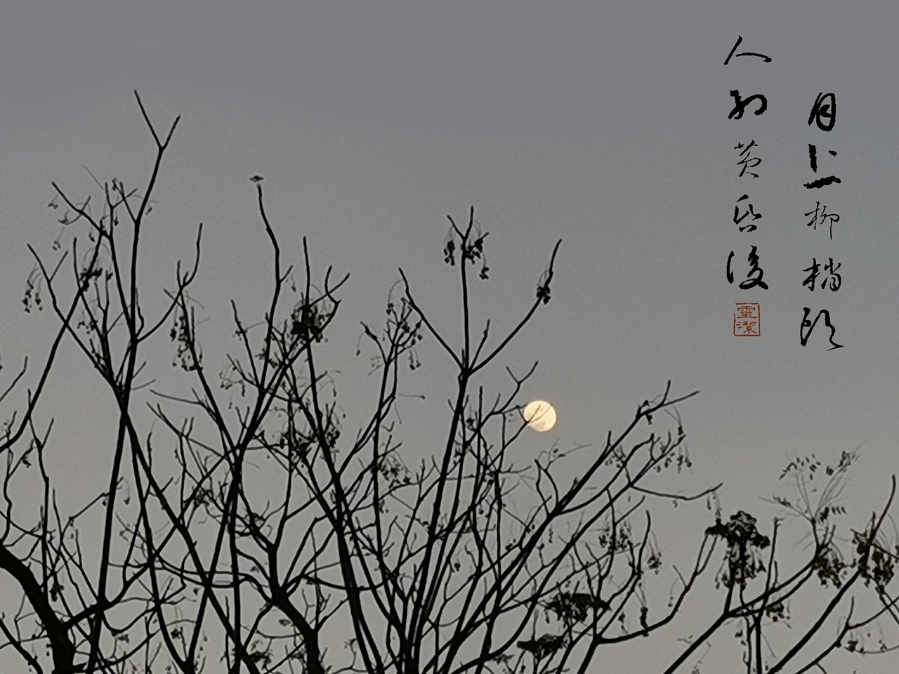 拍的一些比较有国画味道的摄影作品~