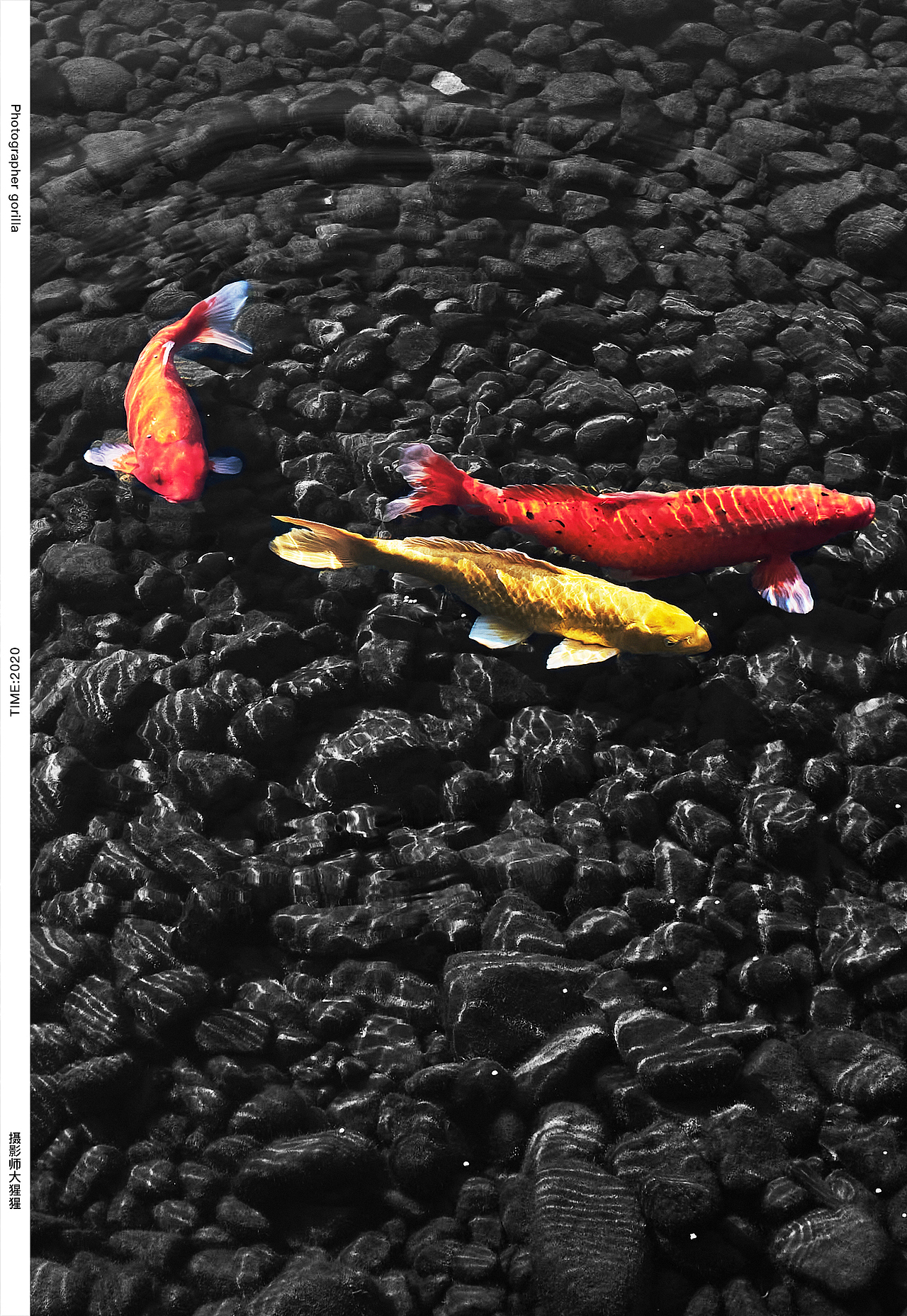 黑白建筑摄影/创意摄影后期/黑白灰(竖版构图)