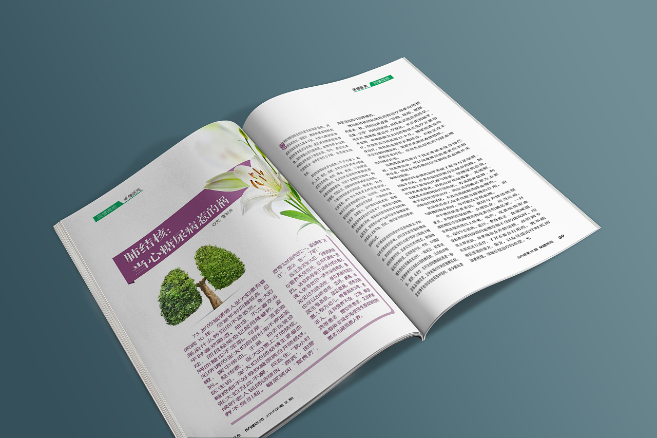 【海平面】《保健医苑》2019年第12期·发行杂志设计