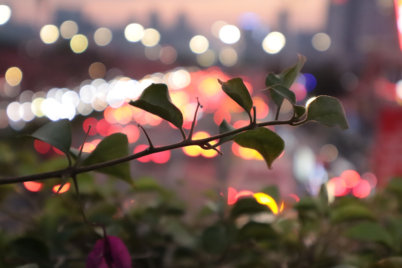 南宁会展中心站（图ZMjg2NzkzNTI4） - 风光摄影 - 站酷设计师马铃薯烤洋芋原创素材 - 站酷ZCOOL