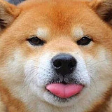 哐当小狗狗的头像