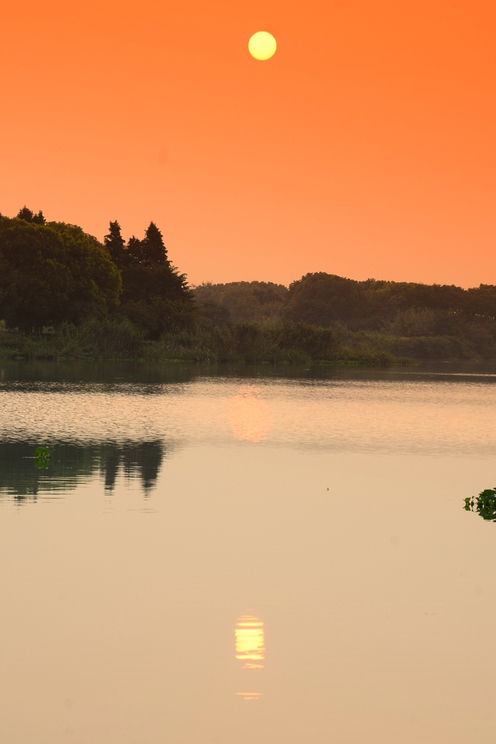 苑山湖观日出