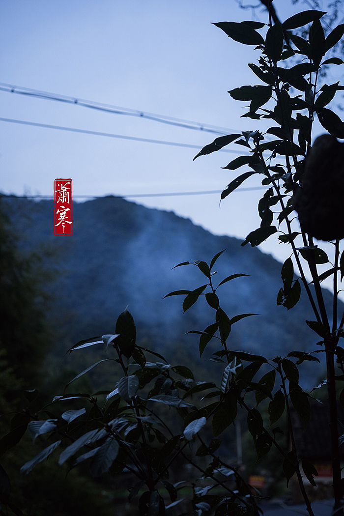 国风静物摄影 | 花雕醉蟹。（图ZMjc3NTg2NDYw） - 美食摄影 - 站酷设计师萧寒Jevil原创素材 - 站酷ZCOOL