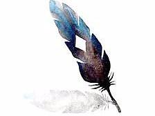 羽毛（個(gè)人主頁(yè)-ZMjQ4NTE2NDQ=） - 創(chuàng)作習(xí)作 - 站酷設(shè)計(jì)師點(diǎn)線面體原創(chuàng)素材 - 站酷ZCOOL