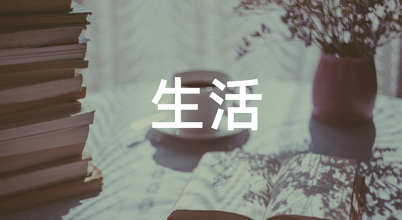 静文书店标志提案设计