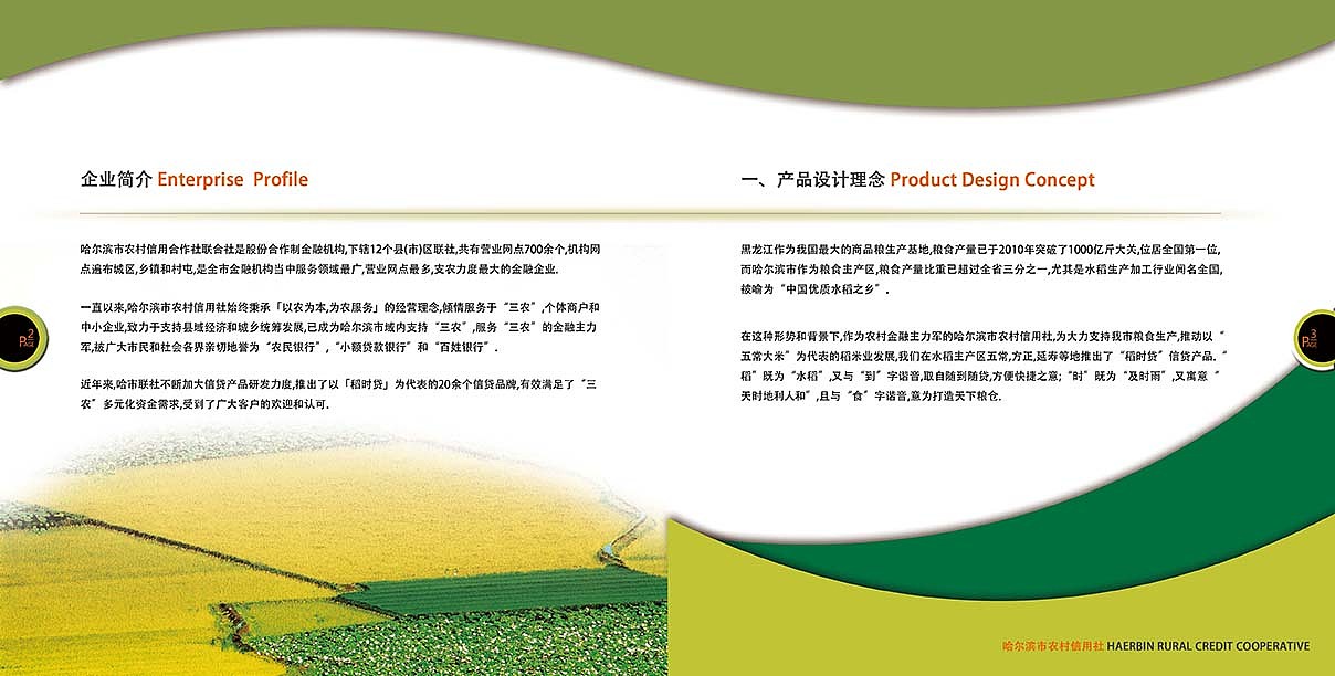 稻时代画册设计