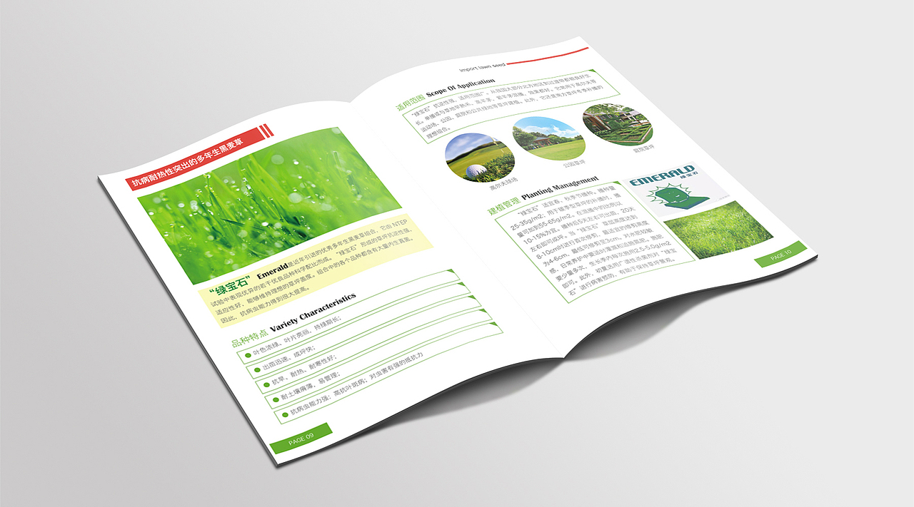 景观草木画册（图ZOTQyMTMwNjA=） - 书籍/画册 - 站酷设计师龙哥哥家小公举原创素材 - 站酷ZCOOL