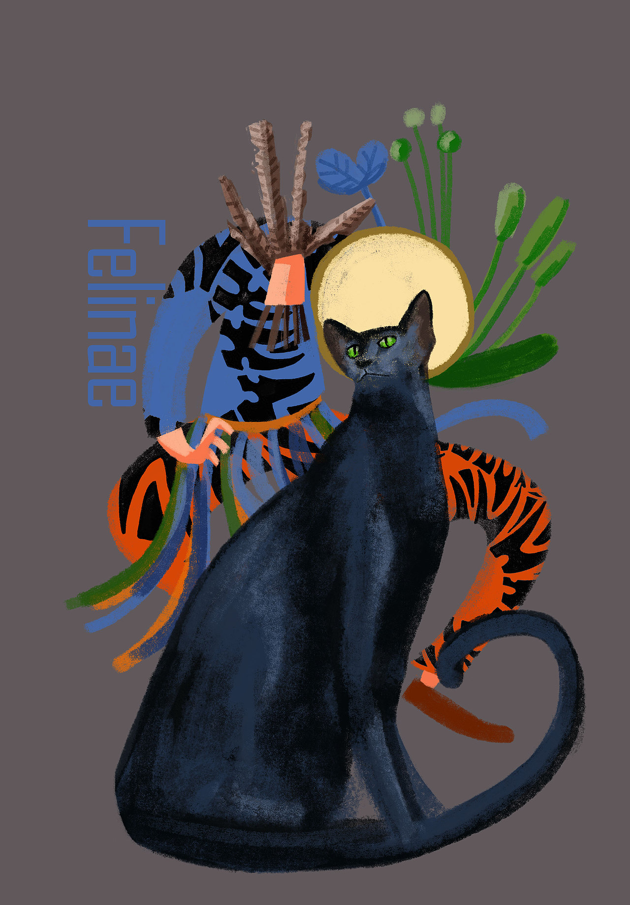 9大品种喵主子图鉴----东方短毛猫 felinae