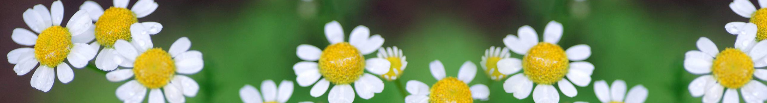 1Umi的个人主页（封面预览） - 主页封面设置 - 站酷设计师1Umi原创素材 - 站酷ZCOOL