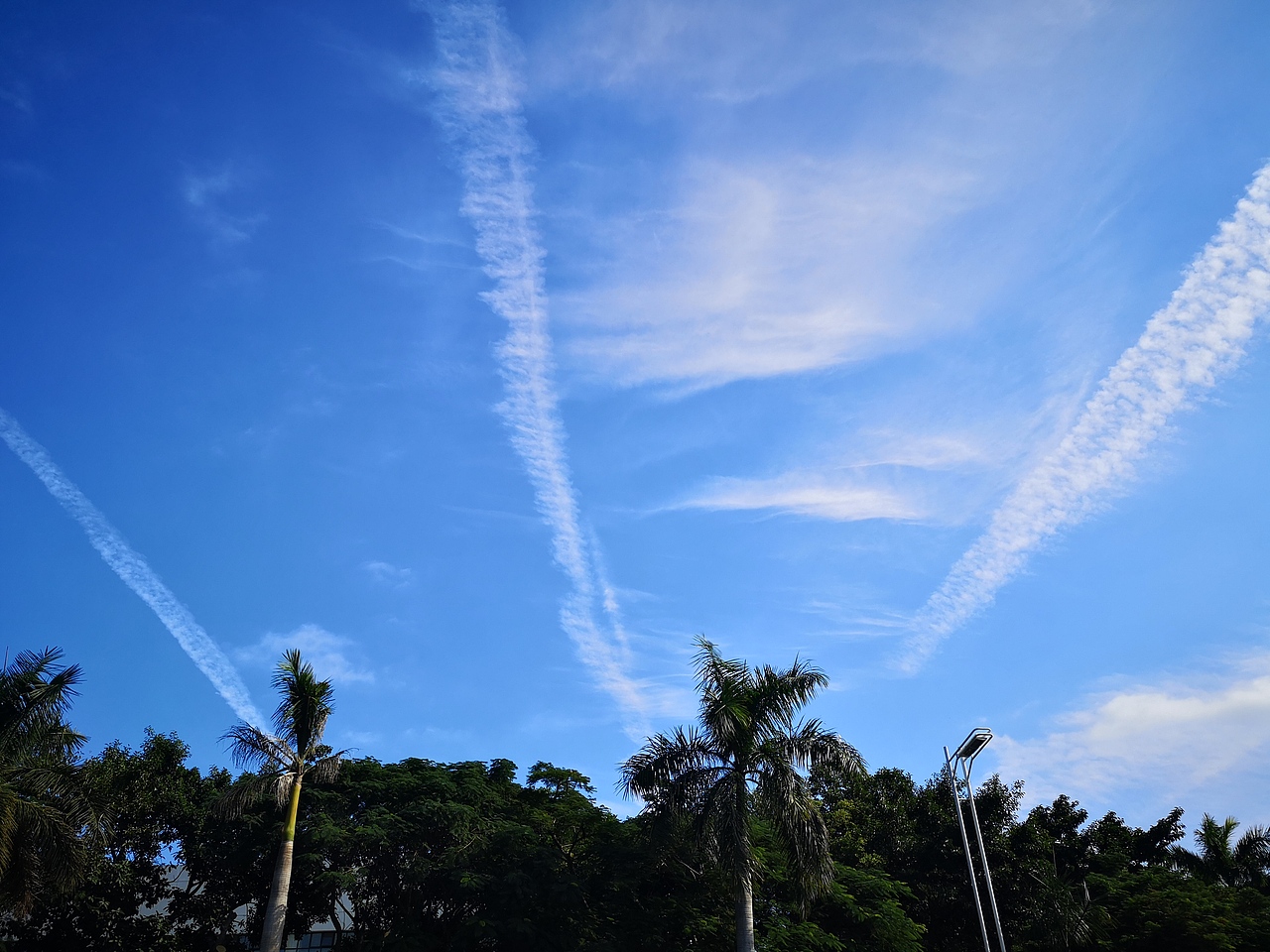 仰望天空（图ZMjY0MDE0NzU2） - 风光摄影 - 站酷设计师多缤设计原创素材 - 站酷ZCOOL