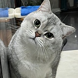 meillyy的头像
