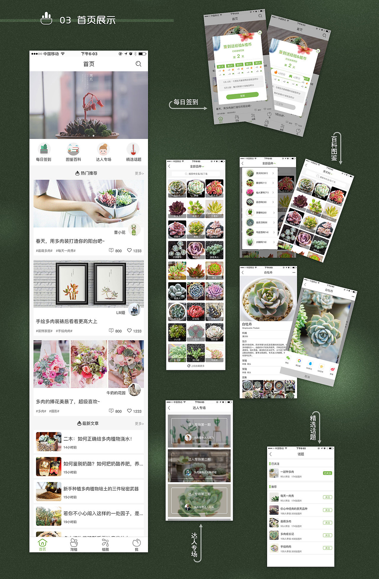 绿植－多肉app（图ZOTQ1MTY1MjQ=） - APP界面 - 站酷设计师Zimo_Design原创素材 - 站酷ZCOOL