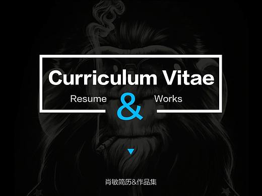 Curriculum Vitae（个人主页-ZMjgxOTkxNDg=） - 其他UI - 站酷设计师沫小辰原创素材 - 站酷ZCOOL