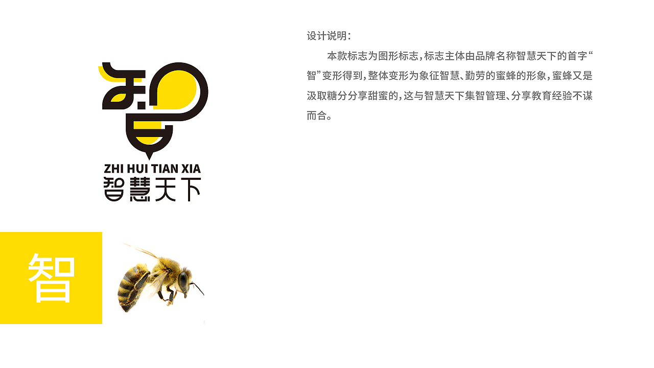 智慧天下教育管理及智慧天下教育城logo设计提案