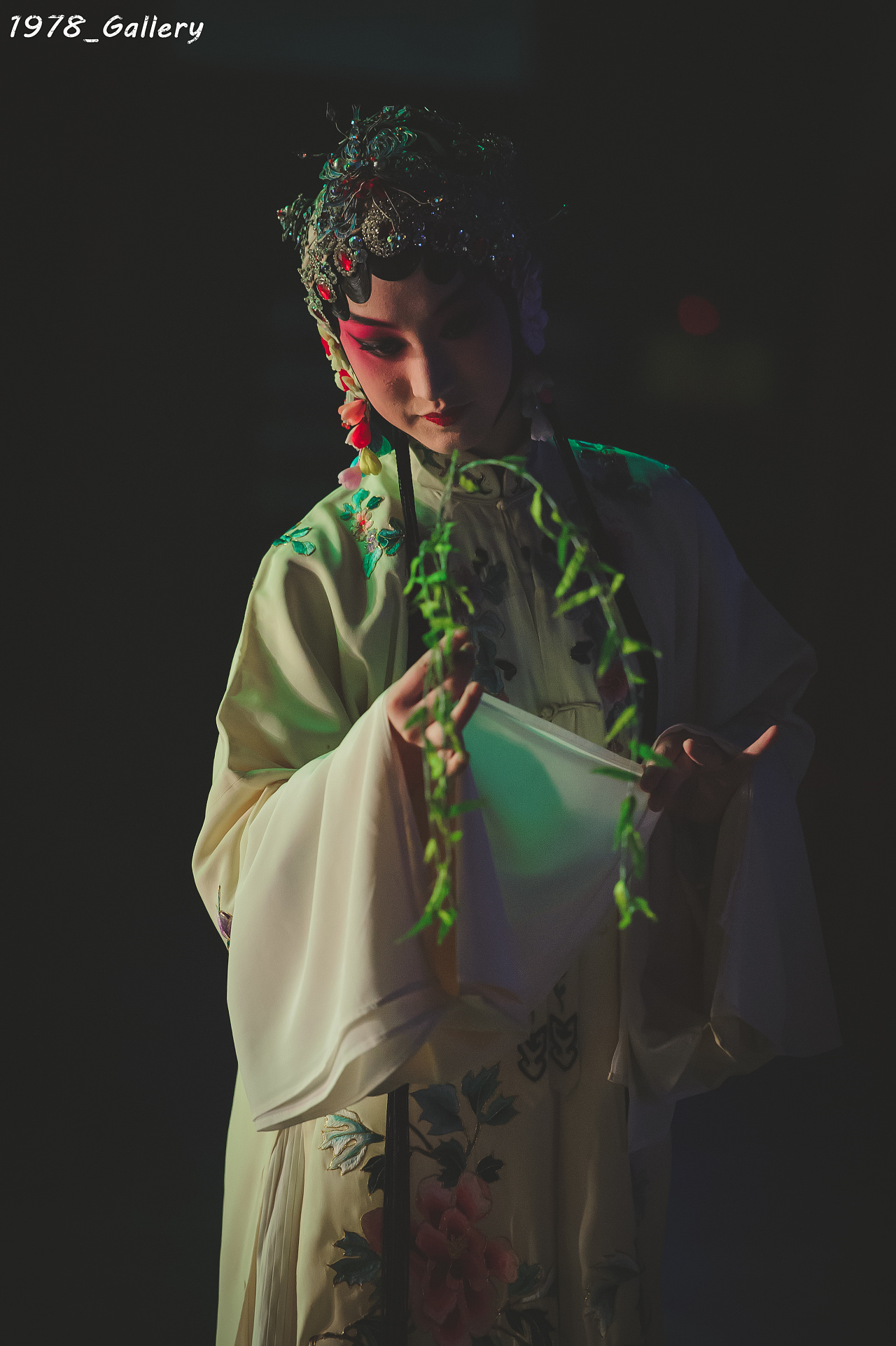 昆曲精华-临川四梦之《牡丹亭》