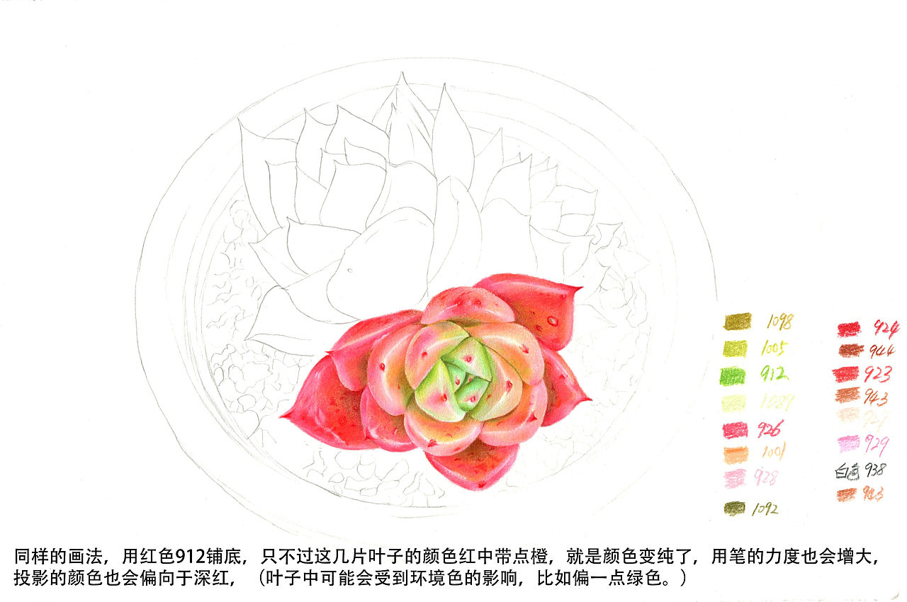 彩铅多肉教程（图ZMTQ4MTY1Njc2） - 绘画 - 站酷设计师拾光者Art原创素材 - 站酷ZCOOL