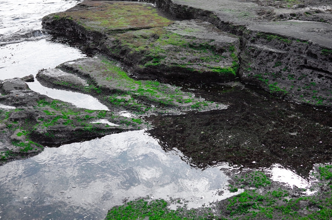 我眼里的济州岛