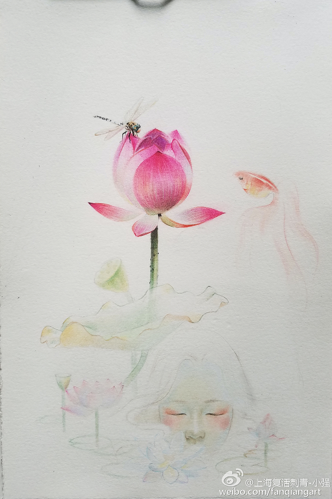 原创彩铅莲花和鱼