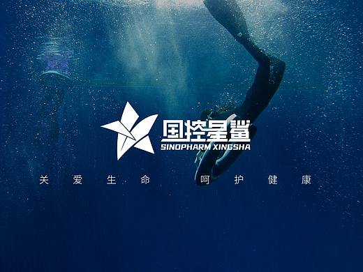 凭星而来 · 鲨耀新生