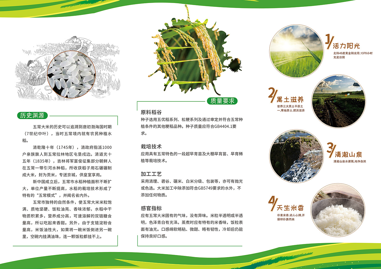 五常大米三折页