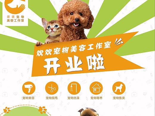 宠物美容海报宣传单
