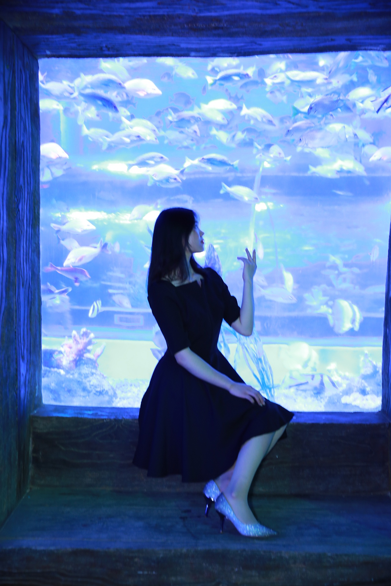 海洋馆一日游|摄影|人像摄影|走下去走过去 - 原创作品 - 站酷 (zcool