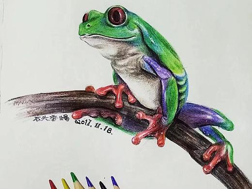 彩铅画习作《红眼树蛙》