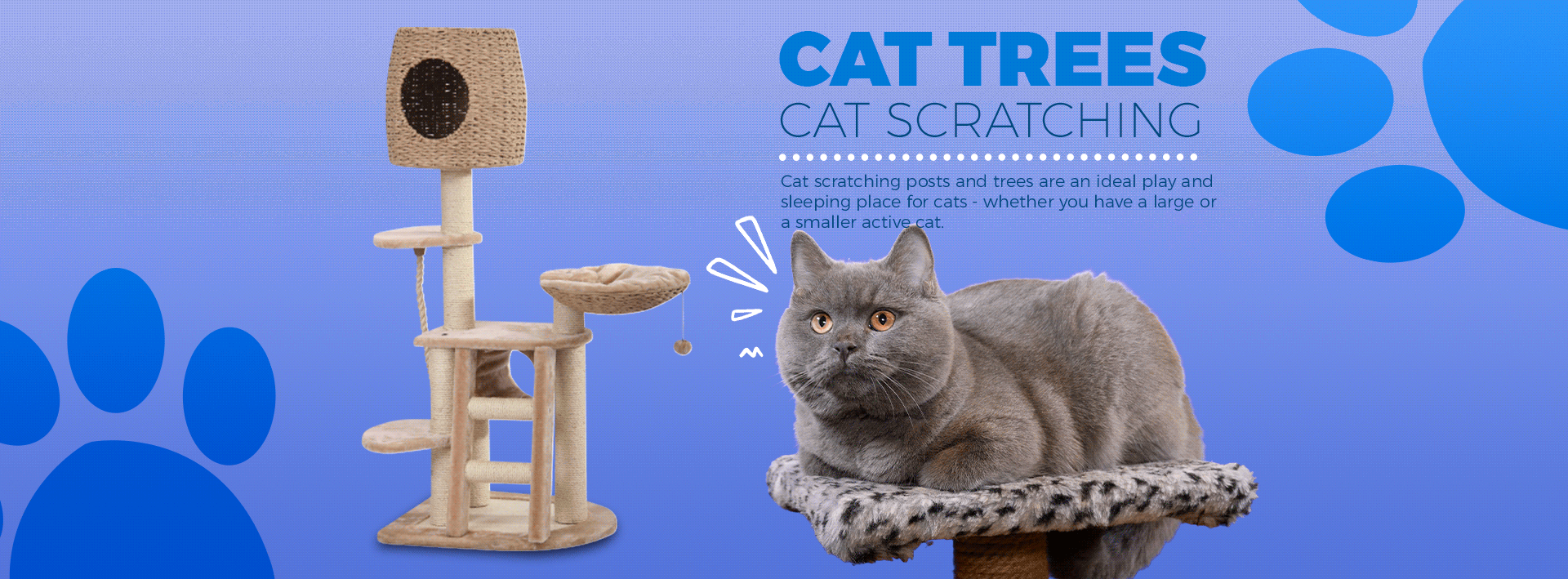 阿里国际站宠物用品首页（图ZMjYwNTkyOTI0） - 电商 - 站酷设计师Mollol原创素材 - 站酷ZCOOL