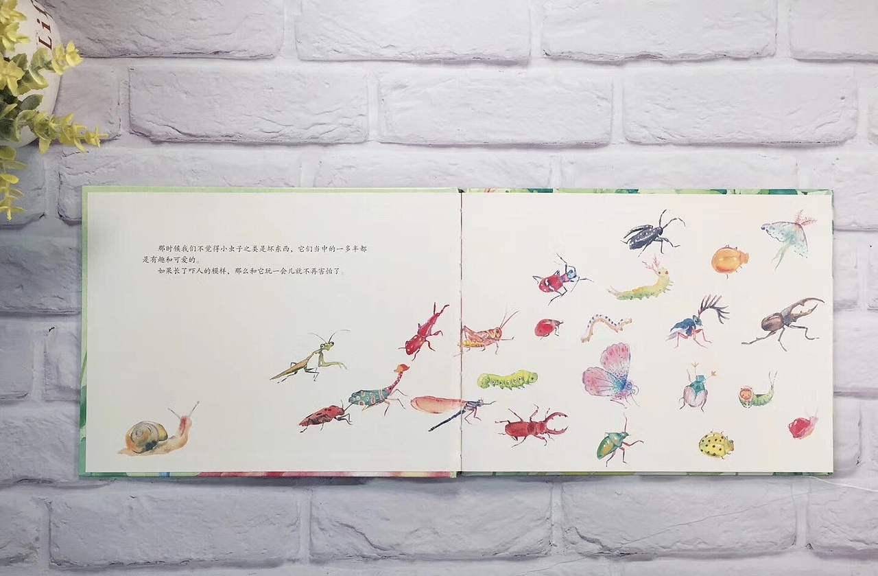 《爱小虫》绘本