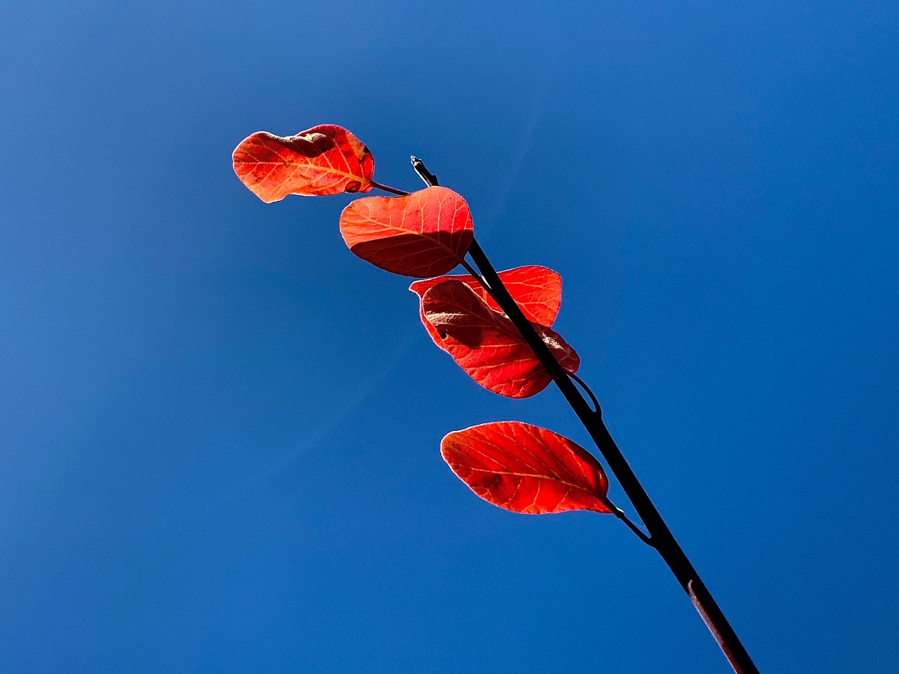 自然造物 吾栖之态