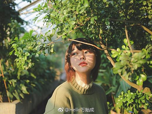 庭前花木满,院外小径芳。