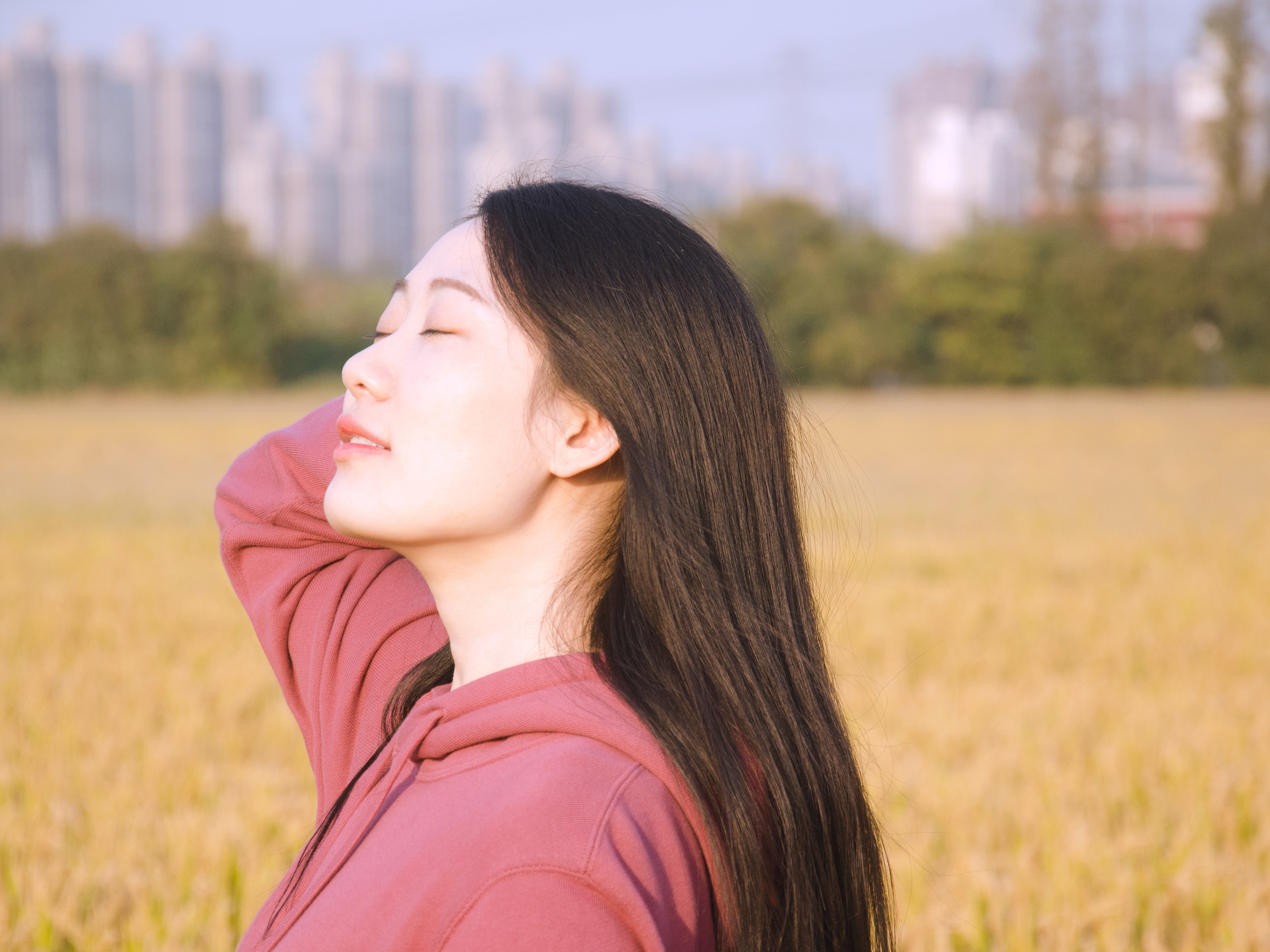 稻香