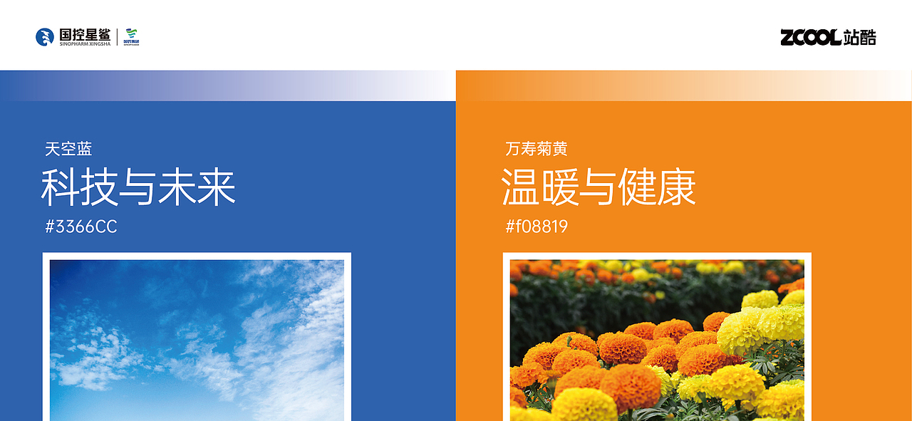 国控星鲨品牌LOGO & 70周年徽标设计