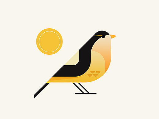 bird(每日一画)(追波练习))